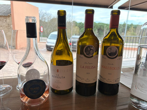 Emilio Moro Bodegas-Pesquera de Duero必去景点