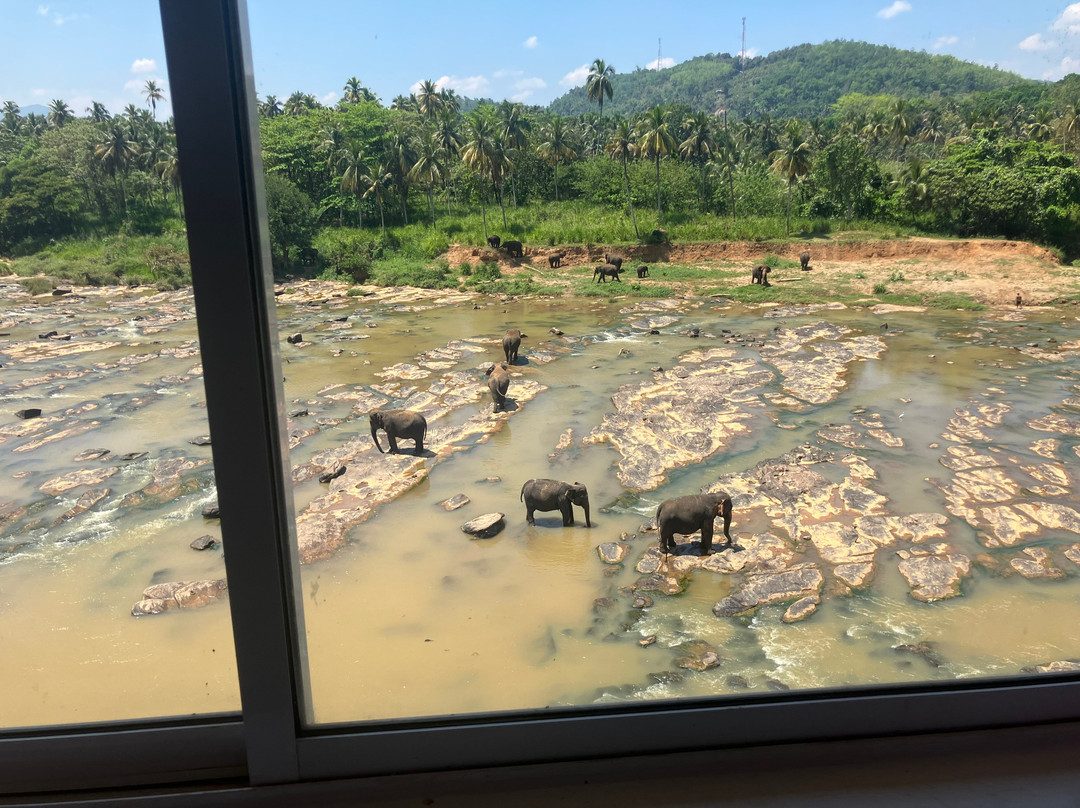 大象公园酒店主图