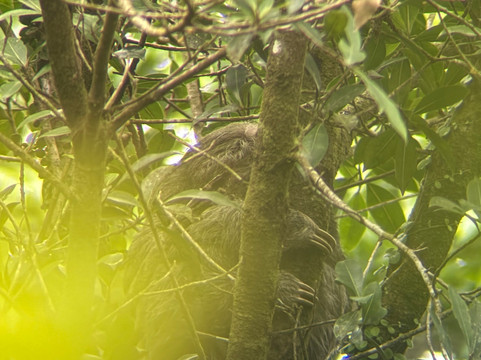 NexusTours-圣何塞必去景点