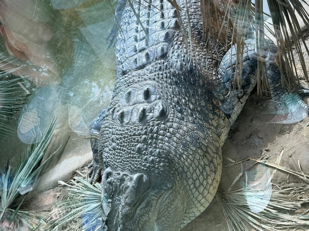 Fort Worth Zoo-沃思堡必去景点