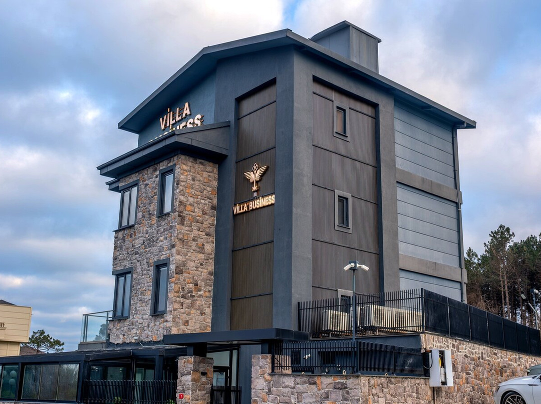 Villa Business Hotel