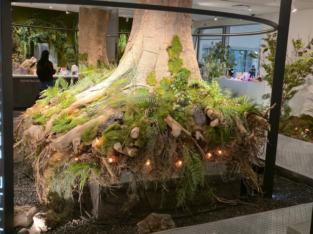 B The B-首尔必去景点