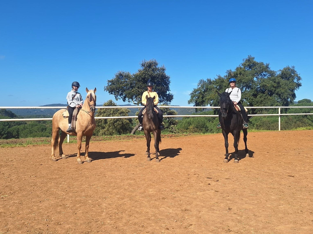 Entre Toros y Caballos-科尔多瓦必去景点