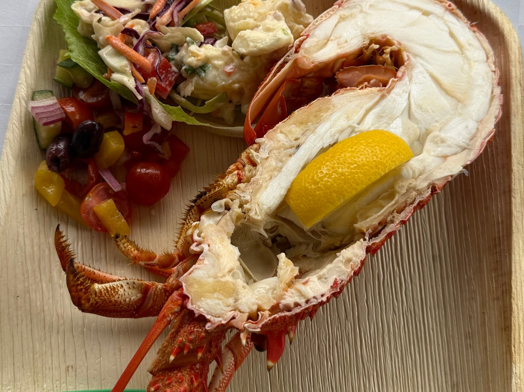 Australian Air Safaris-Moorabbin必去景点