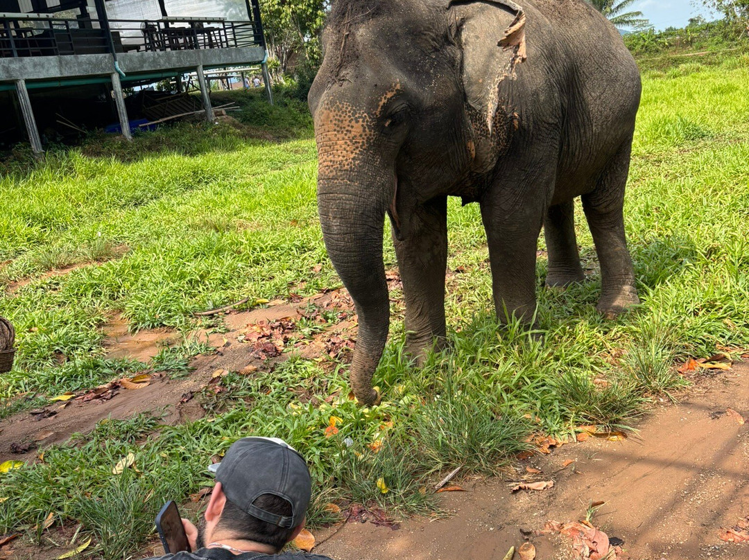Phuket Elephant Nature Reserve-他朗必去景点