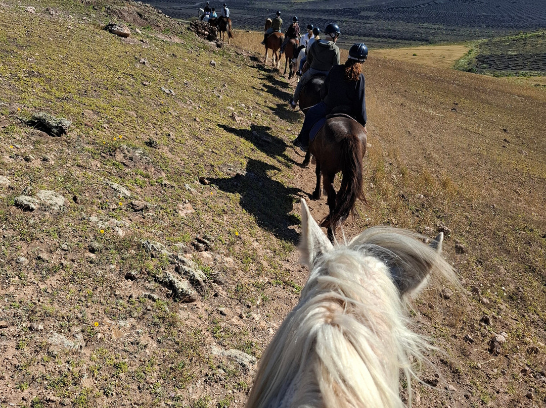 Lanzarote a Caballo-兰萨罗特必去景点
