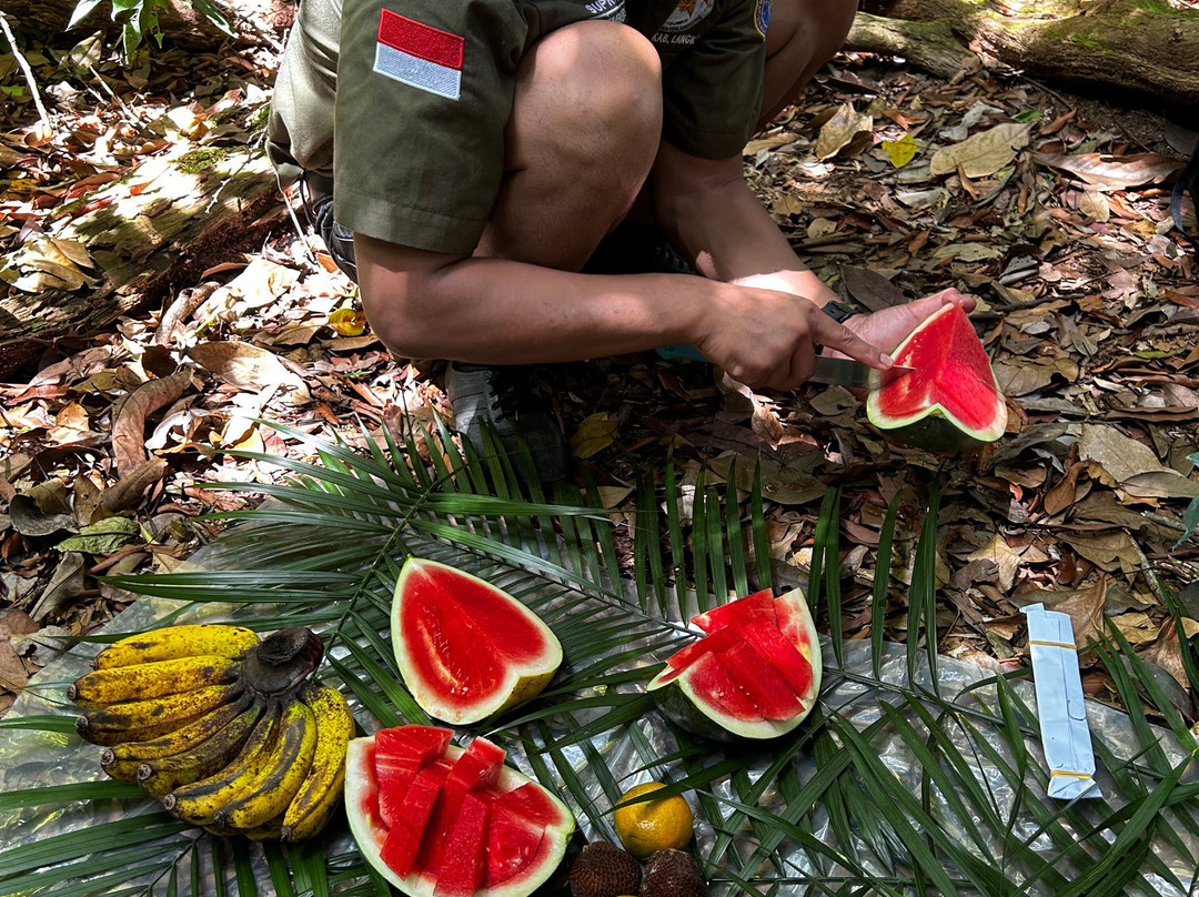 Explore Sumatra Trekking-武吉拉旺必去景点
