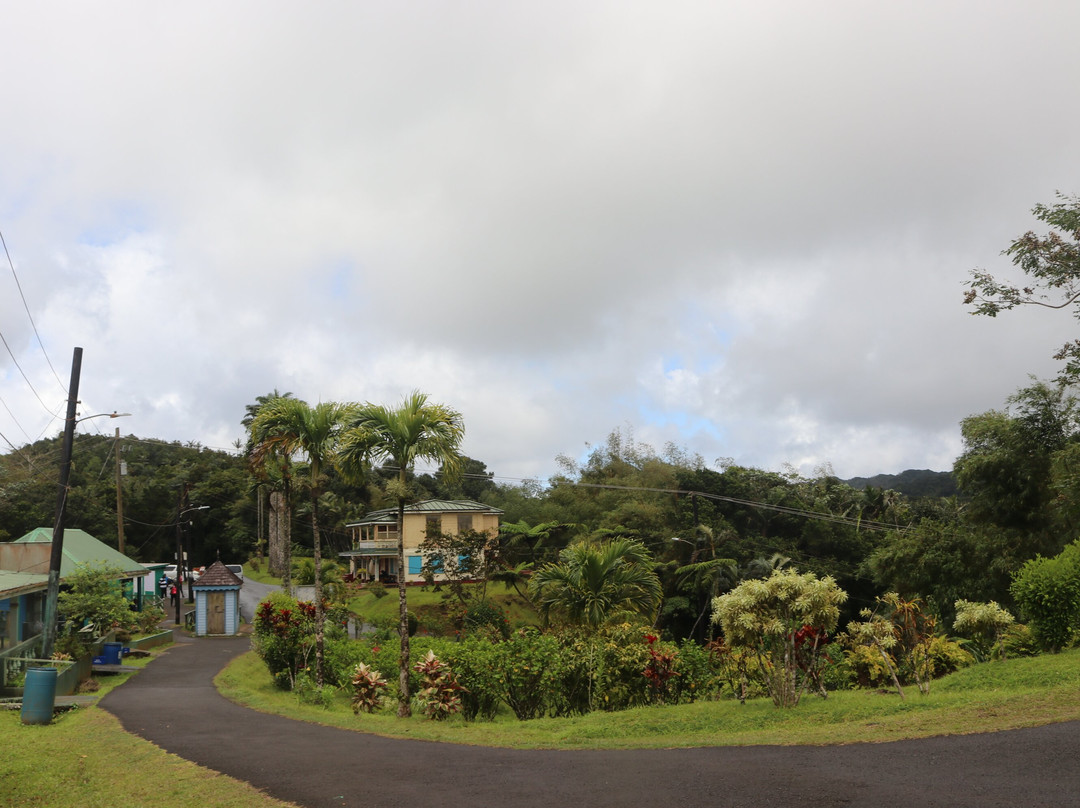 Grand Etang National Park-Saint Andrew Parish必去景点