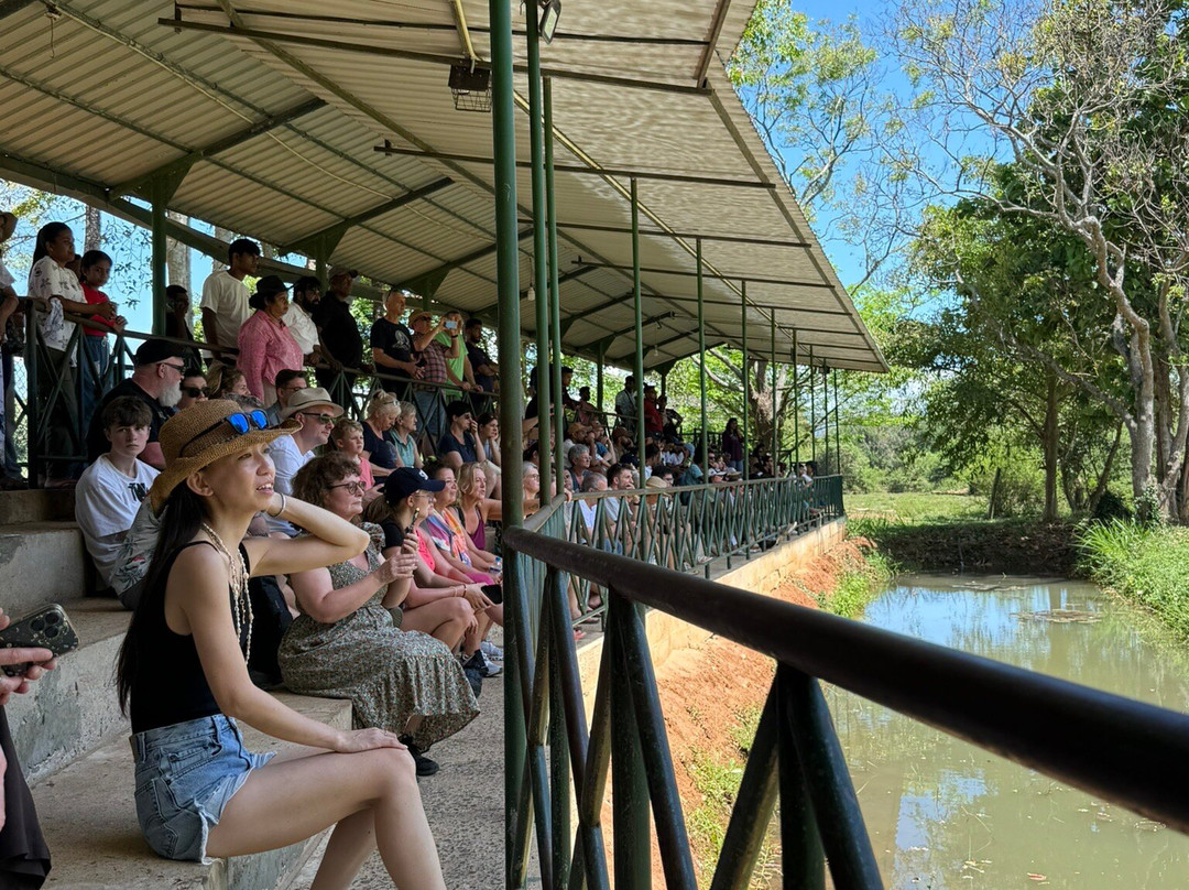 Udawalawa Elephant Orphanage-乌达瓦拉瓦必去景点