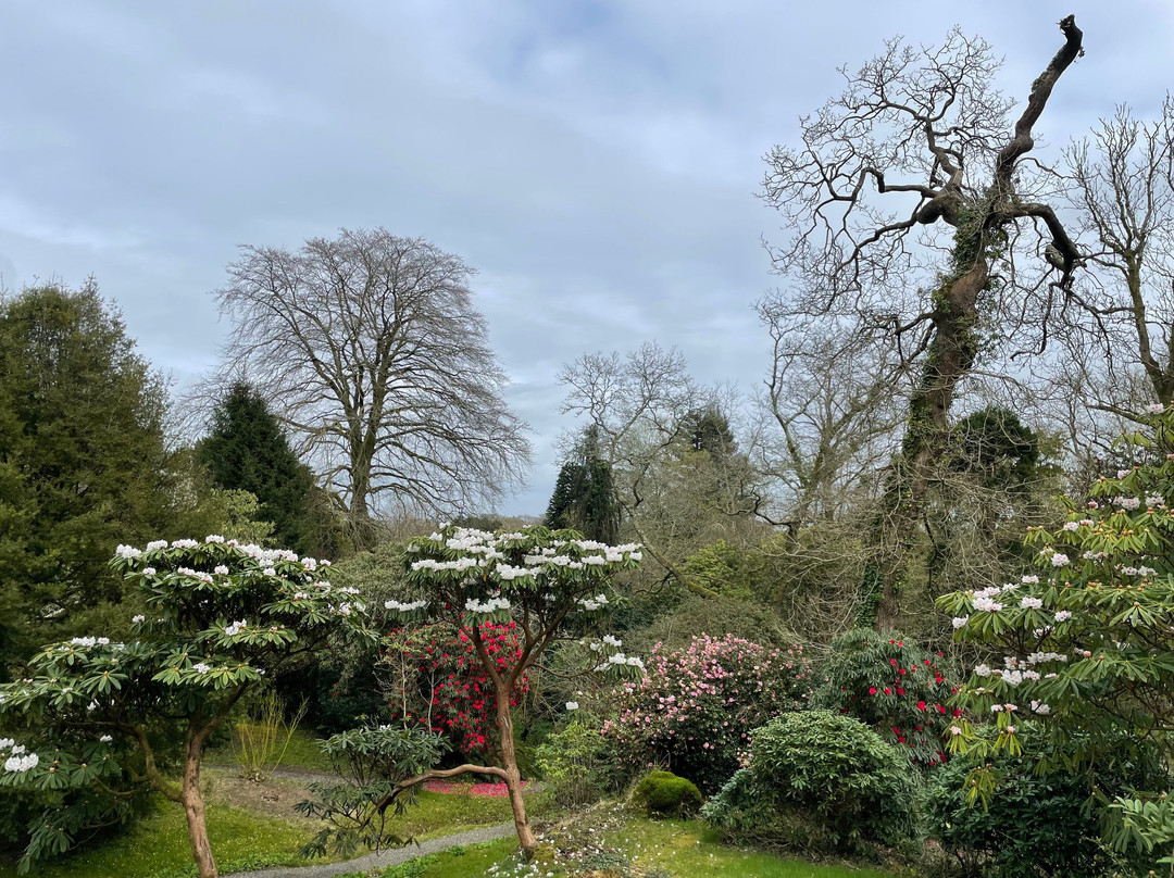 Upton Castle Gardens-Cosheston必去景点