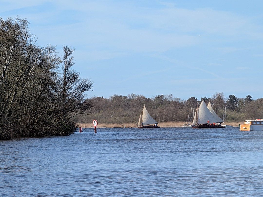 Richardsons Boating Holidays-Stalham必去景点