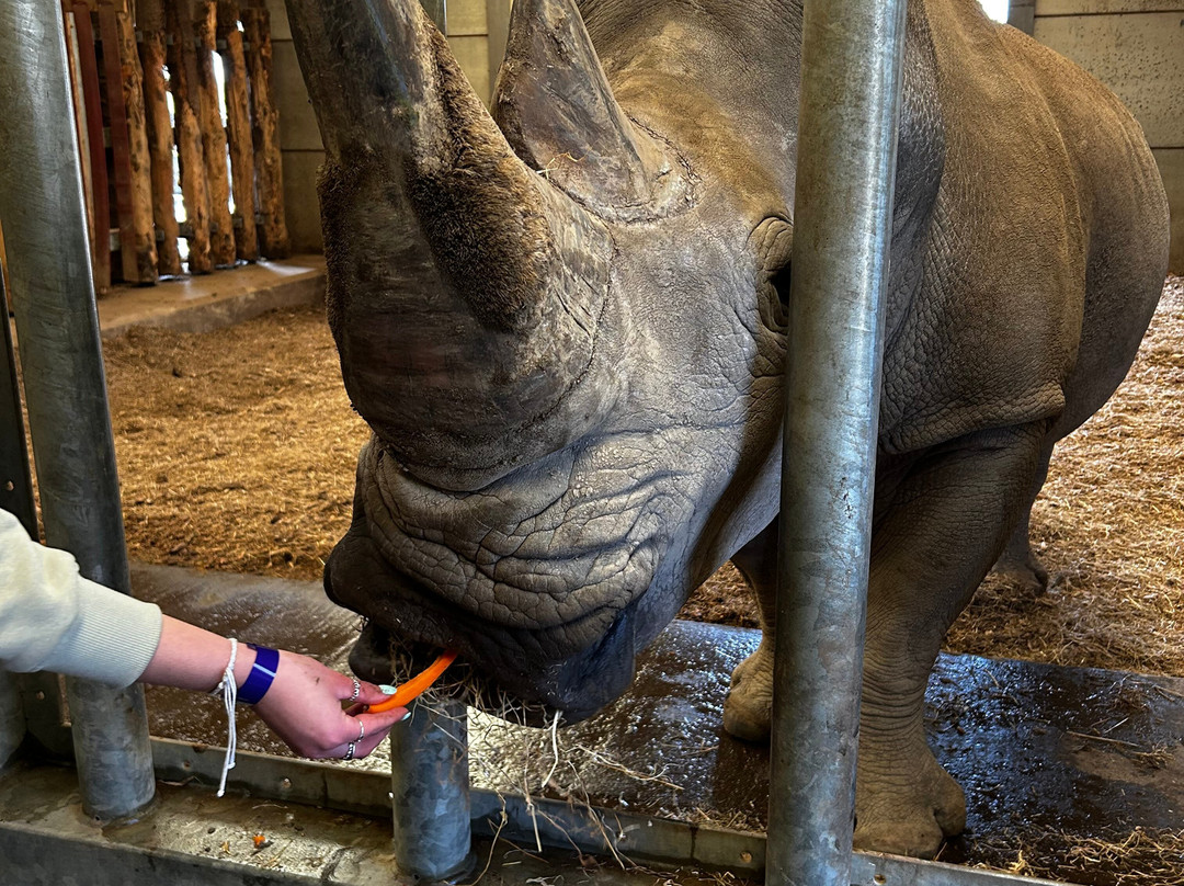 Manor Wildlife Park-St. Florence必去景点