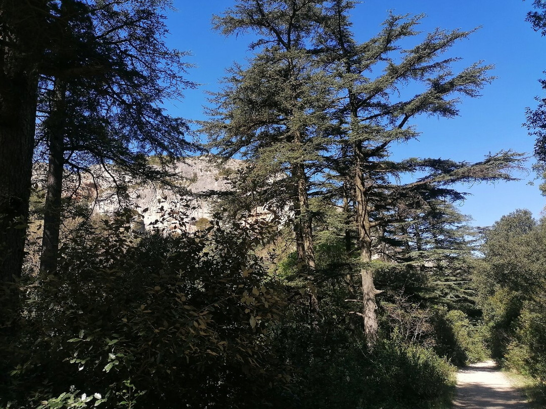 Rocher des Deux Trous-圣雷米必去景点