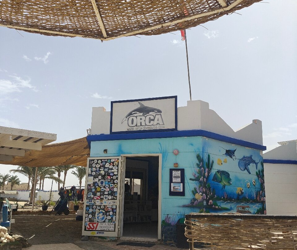 ORCA Dive Club Coral Garden-Safaga必去景点