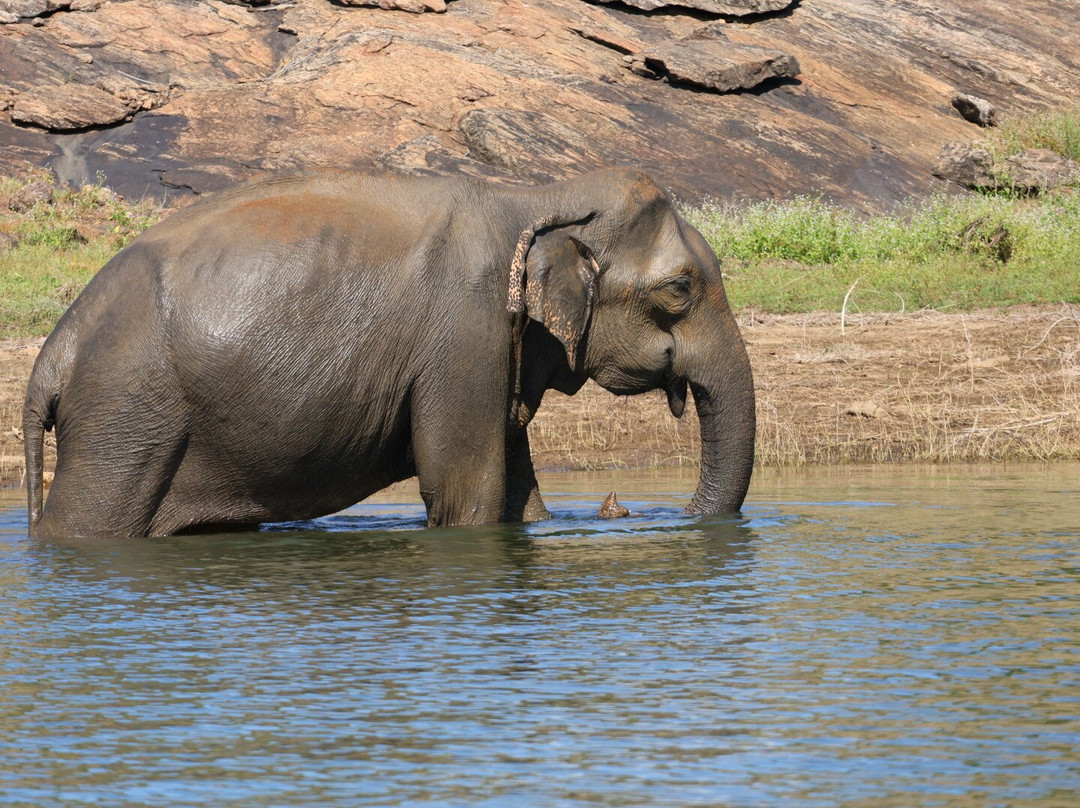 Different Discovery Tours-卡图纳耶克必去景点