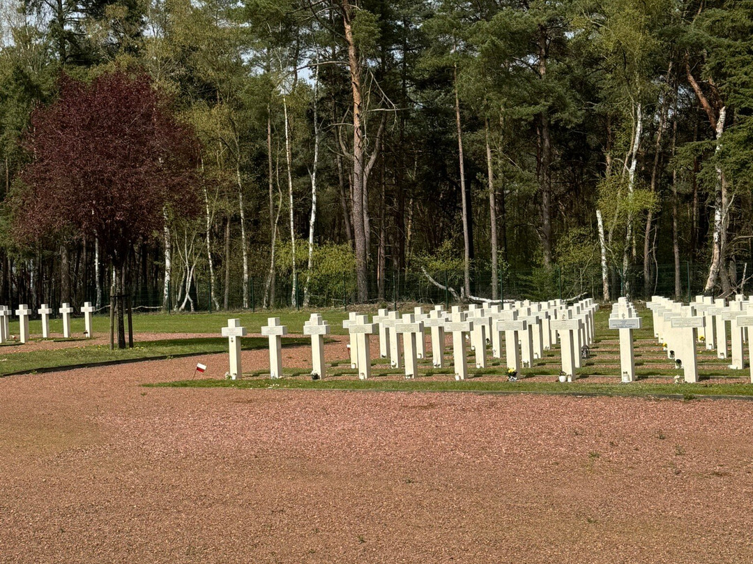 Polish Military Cemetery-洛默尔必去景点