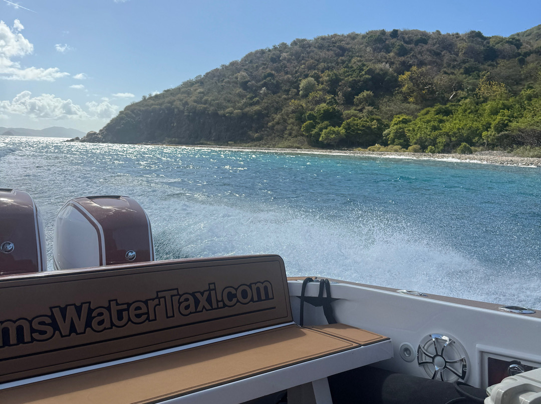 Ocean Dreams Water Taxi-Red Hook必去景点