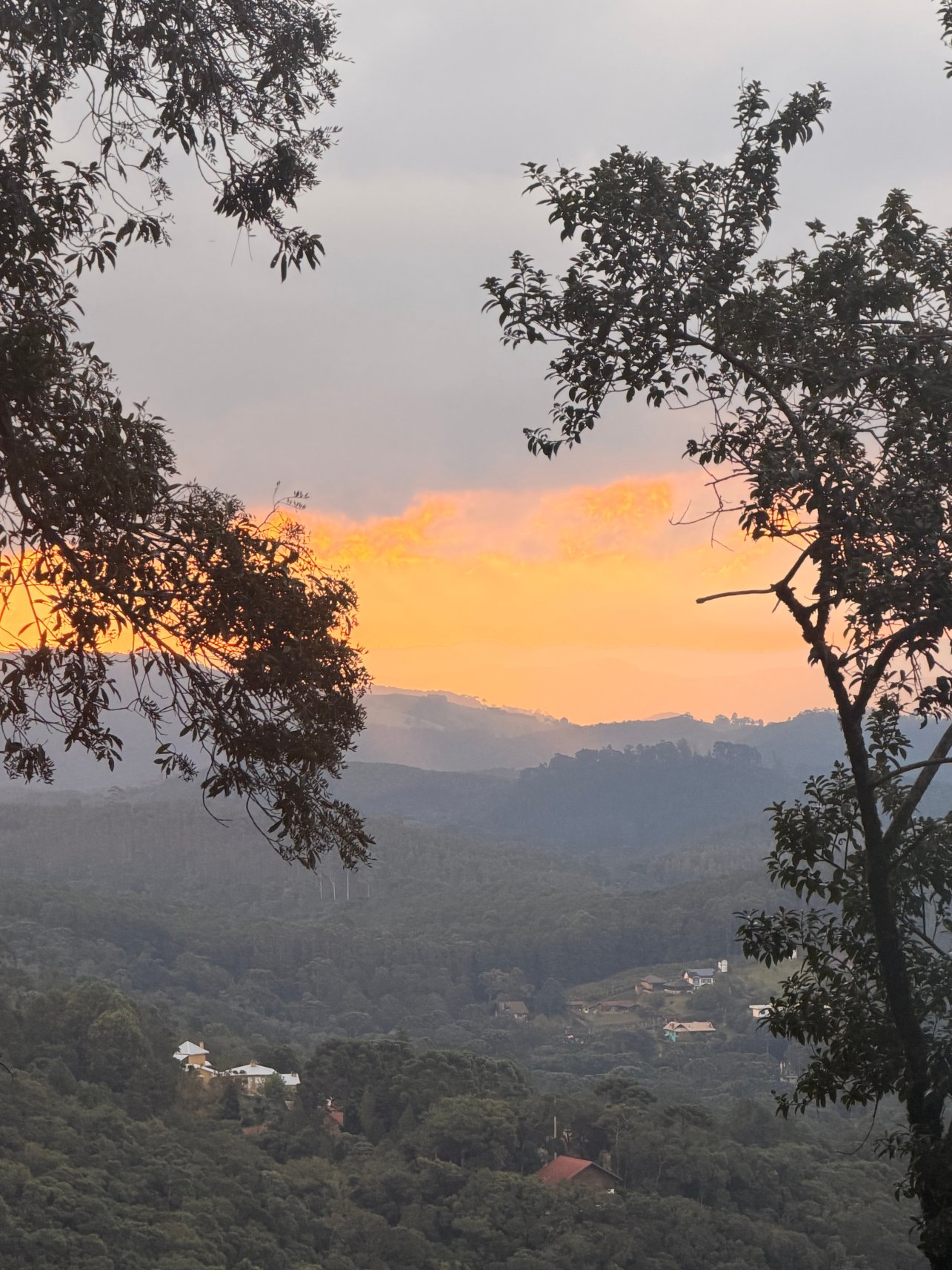 库里瓦酒店-官方