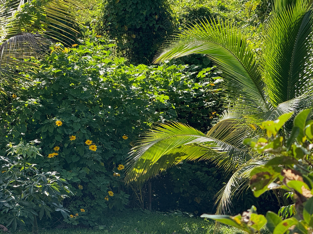 Finca De Cacao La PruVite-Luquillo必去景点