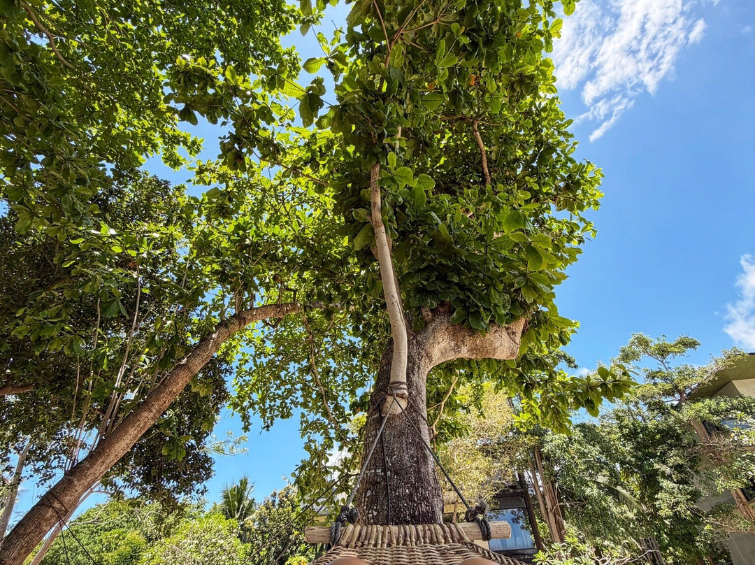阿莫丽塔度假酒店主图