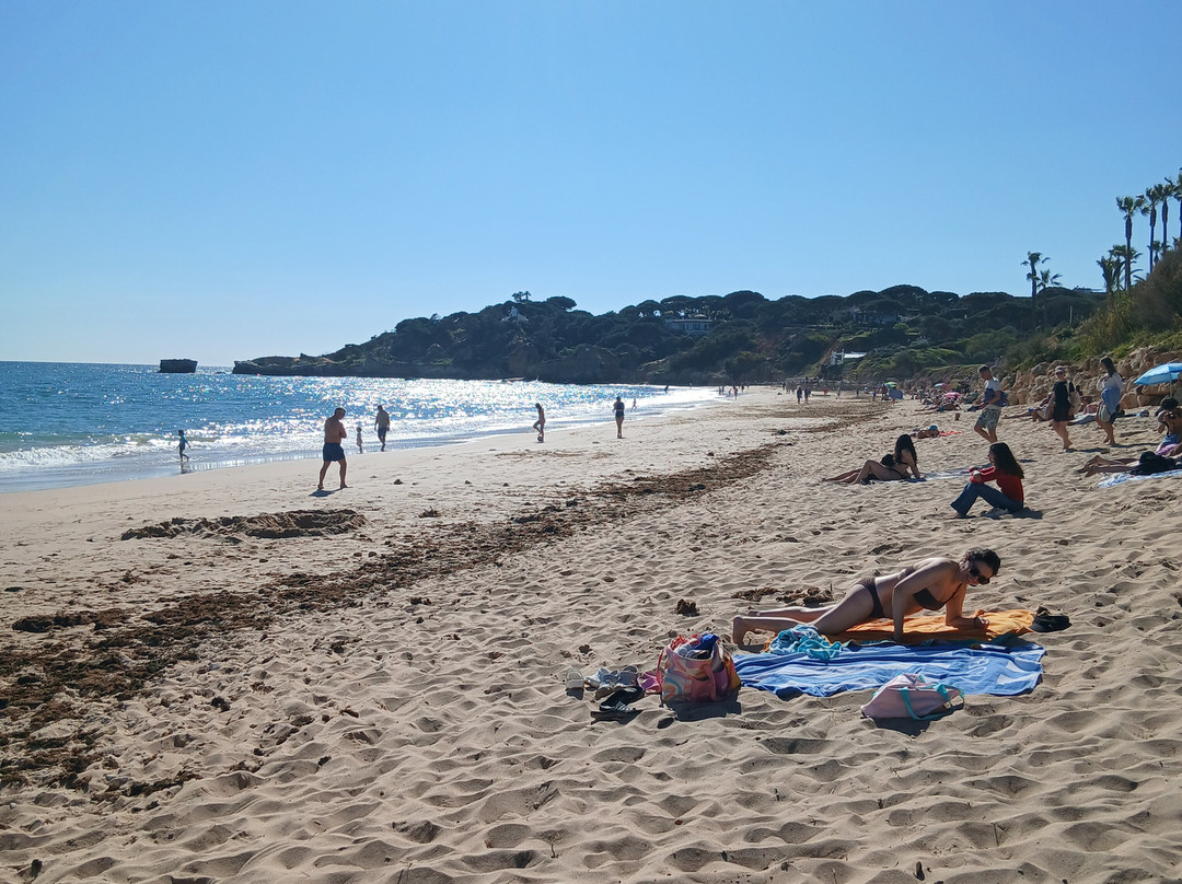 圣欧拉利娅里尔度假大酒店及Spa中心主图