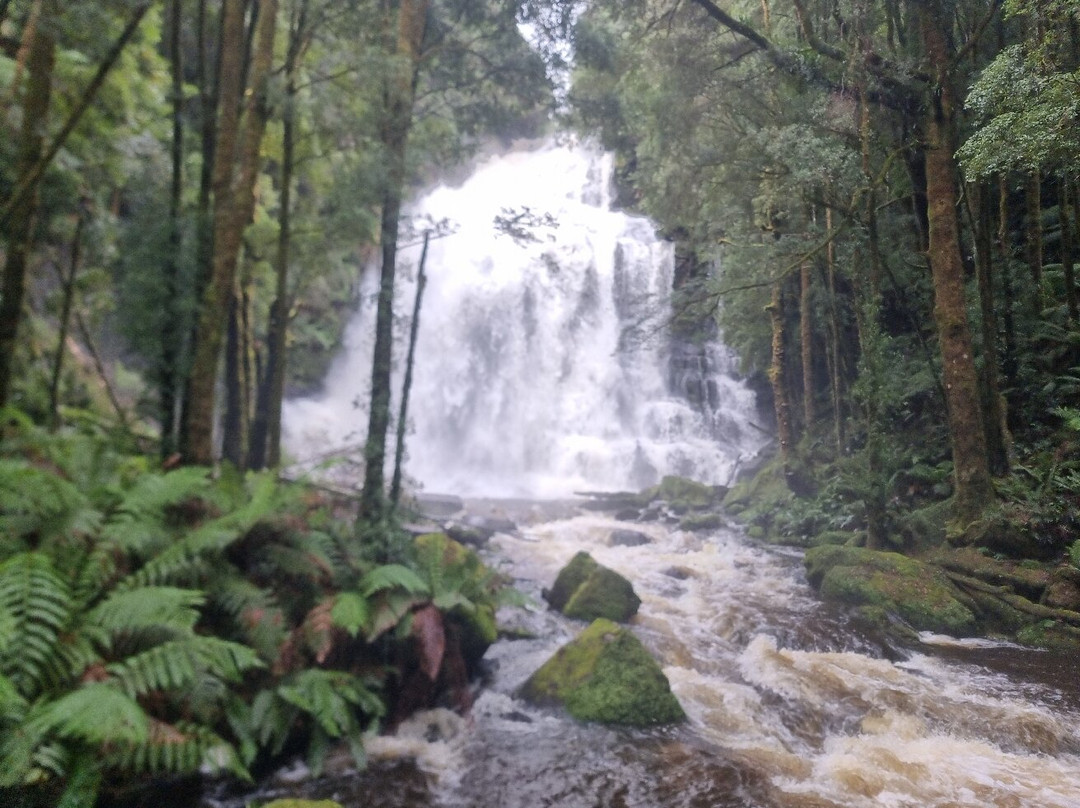 Nelson Falls-皇后镇必去景点