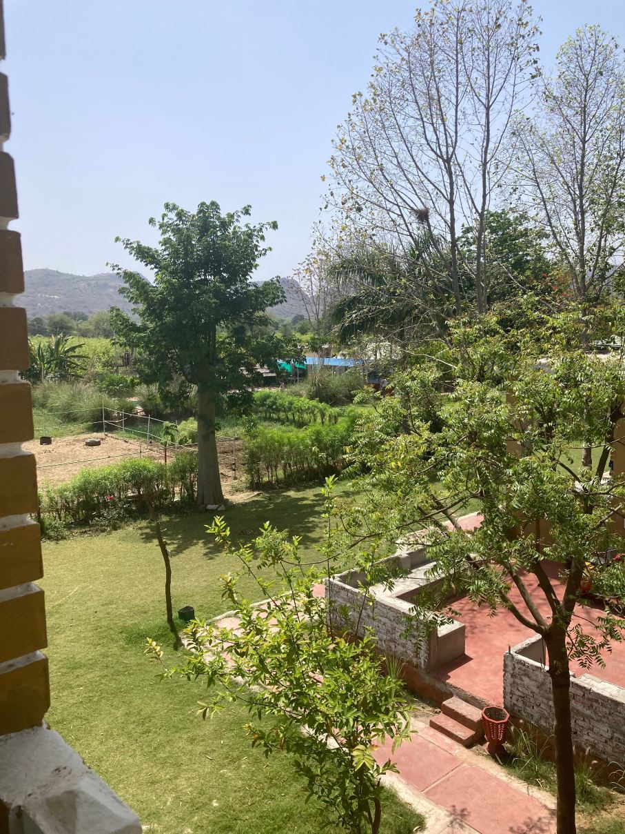 Maa Ashapura Farm Stay Hotel-Ranthambore Resort-旅行者