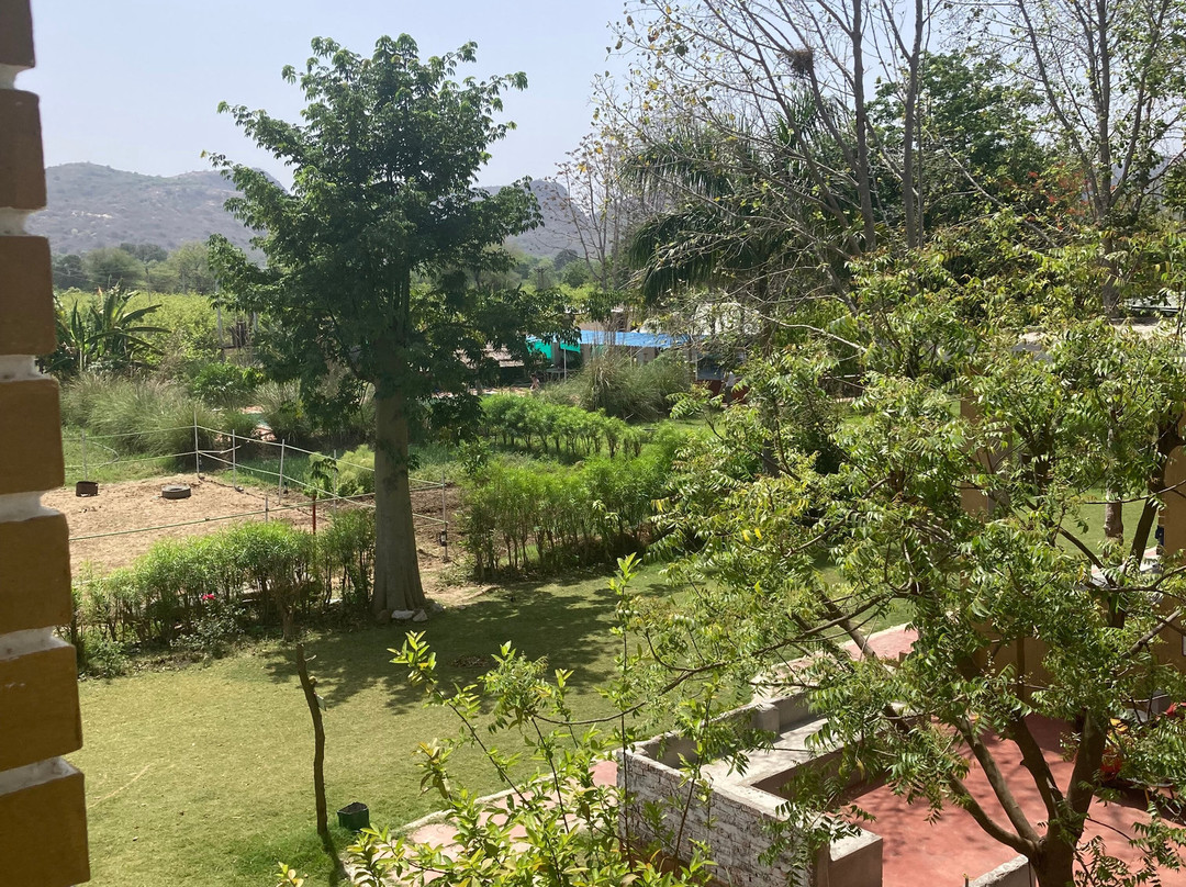 Maa Ashapura Farm Stay Hotel-Ranthambore Resort主图