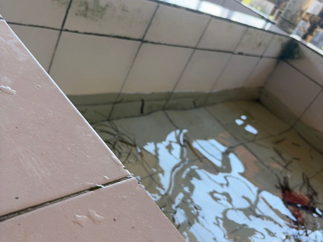 Deluang Sari Turtle Conservation Center-南湾必去景点