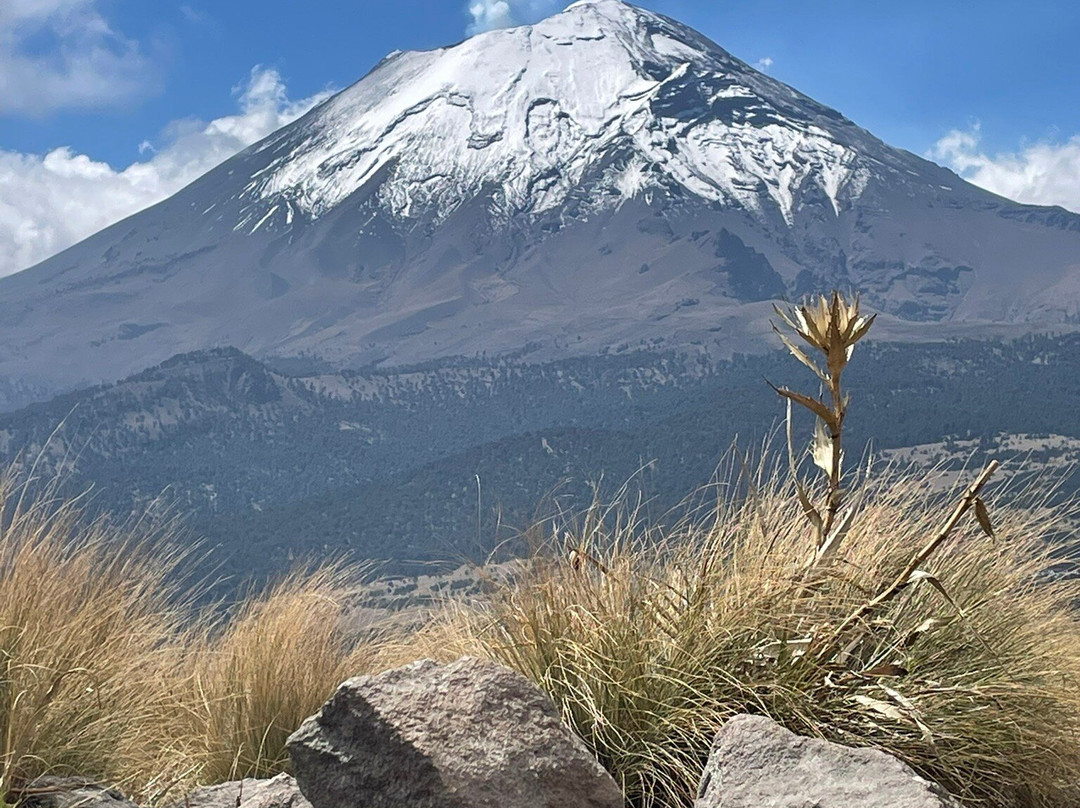 Mexico Travesias-墨西哥城必去景点