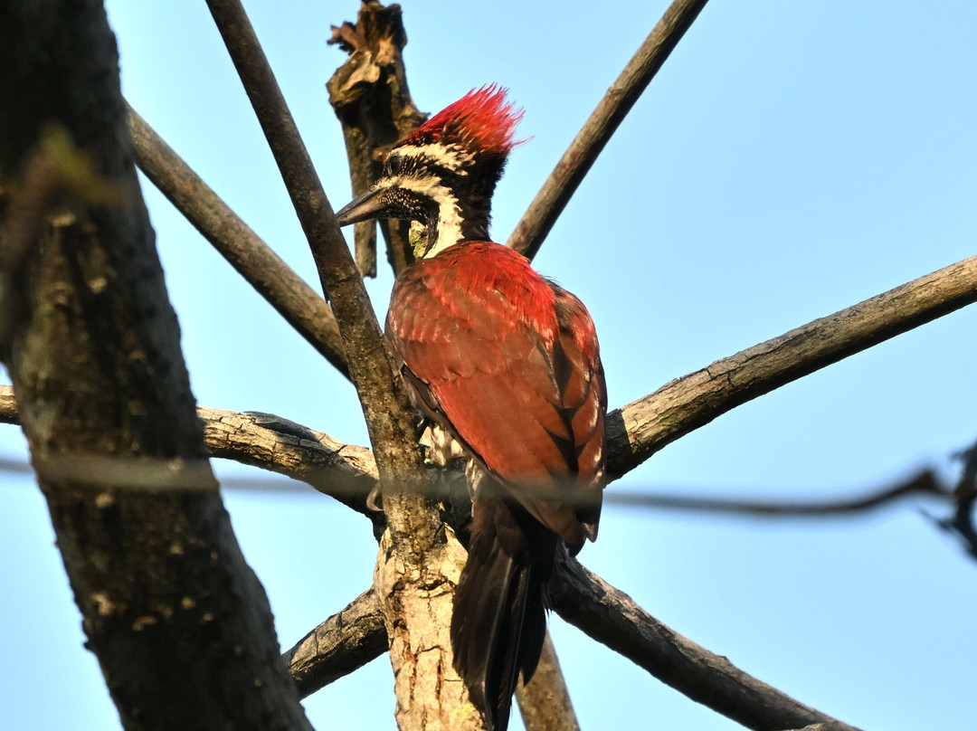 杰特威萨曼别墅奢华度假村（成人专属）主图
