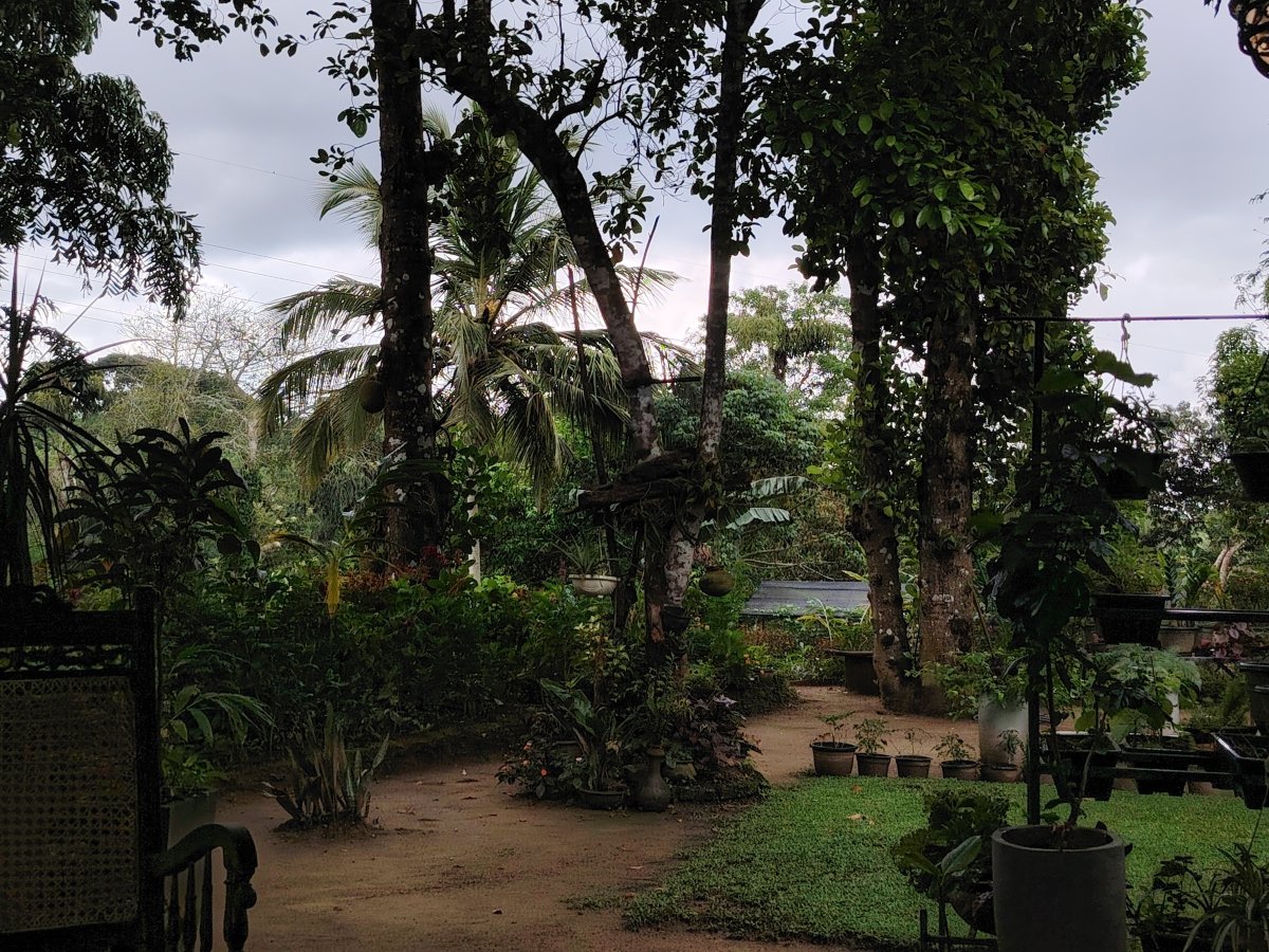 The Bliss Kandy-度假村/酒店