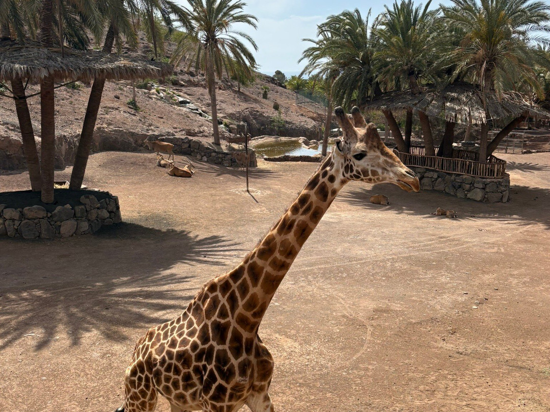 Oasis Park Fuerteventura-La Lajita必去景点