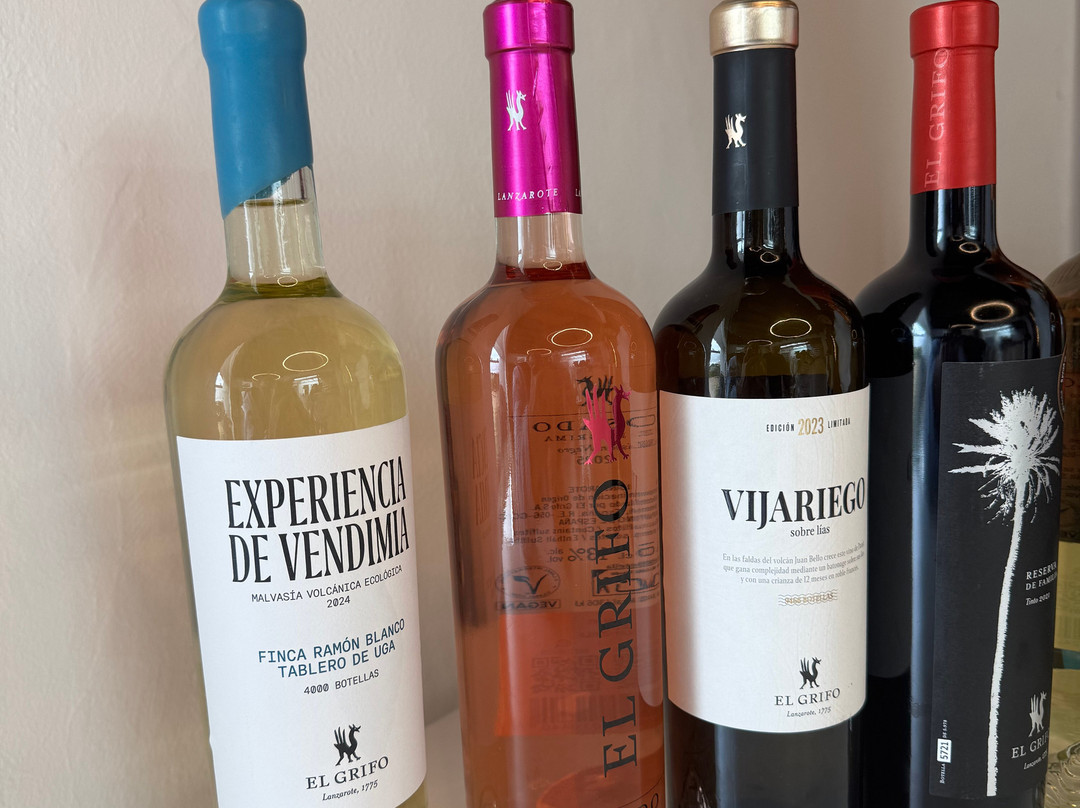 El Grifo - Museo del Vino-San Bartolome必去景点
