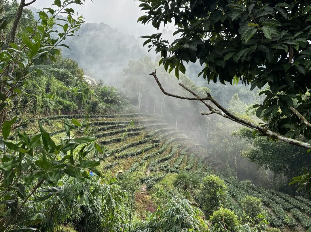 思茅茶马古道-普洱市必去景点