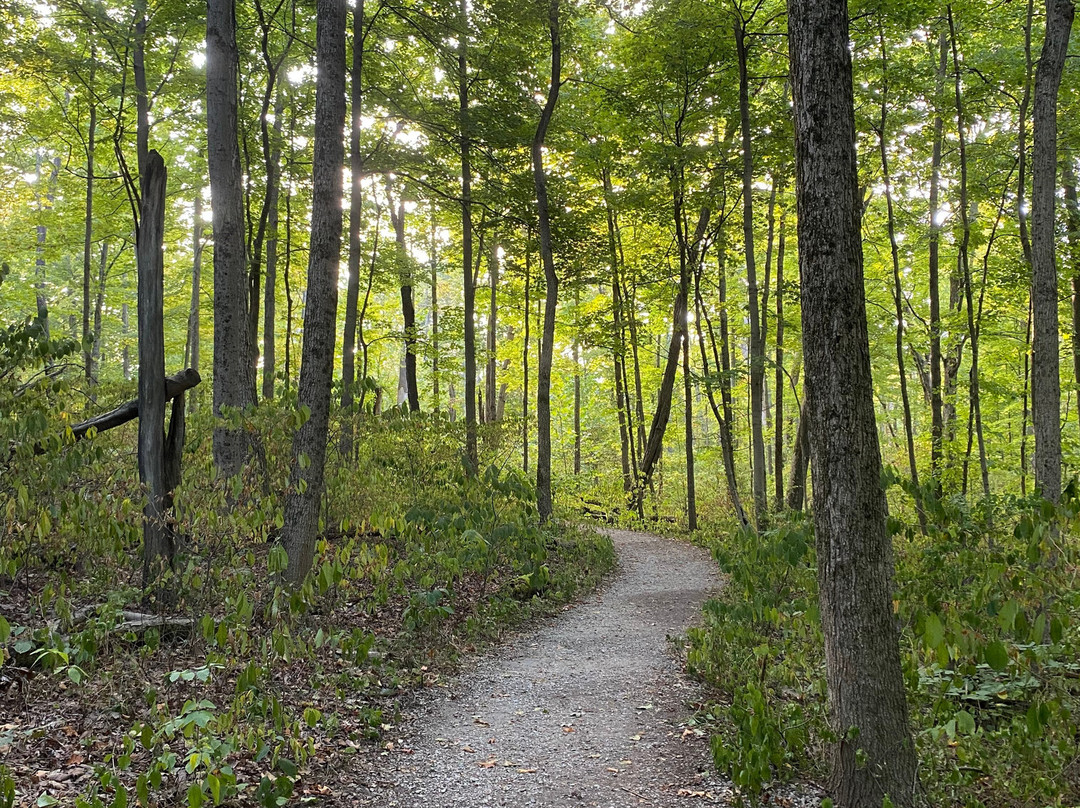 Cincinnati Nature Center-Milford必去景点
