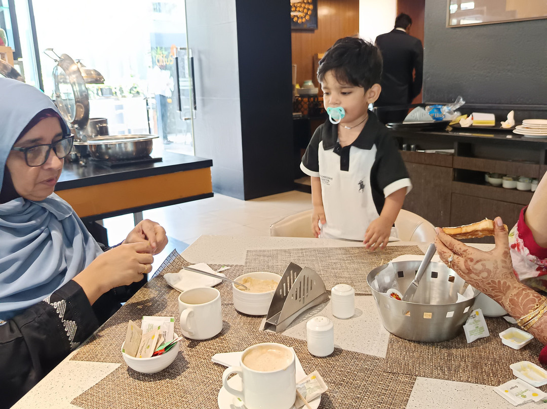 维曼纳加尔柠檬树酒店主图