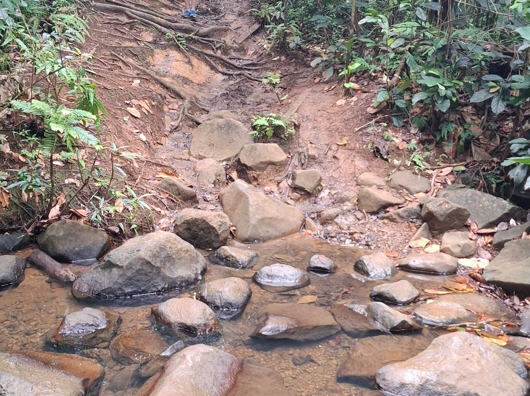 Canyon Moustique-Petit-Bourg必去景点