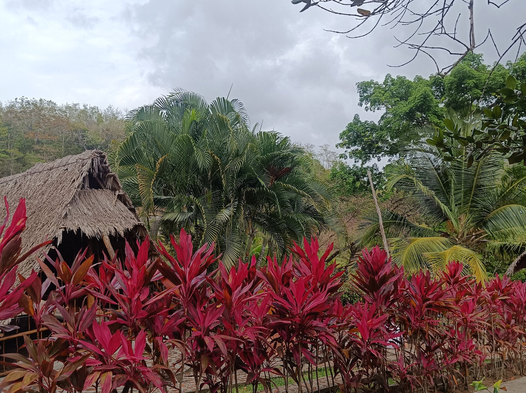 La Savane des Esclaves-Trois-Ilets必去景点