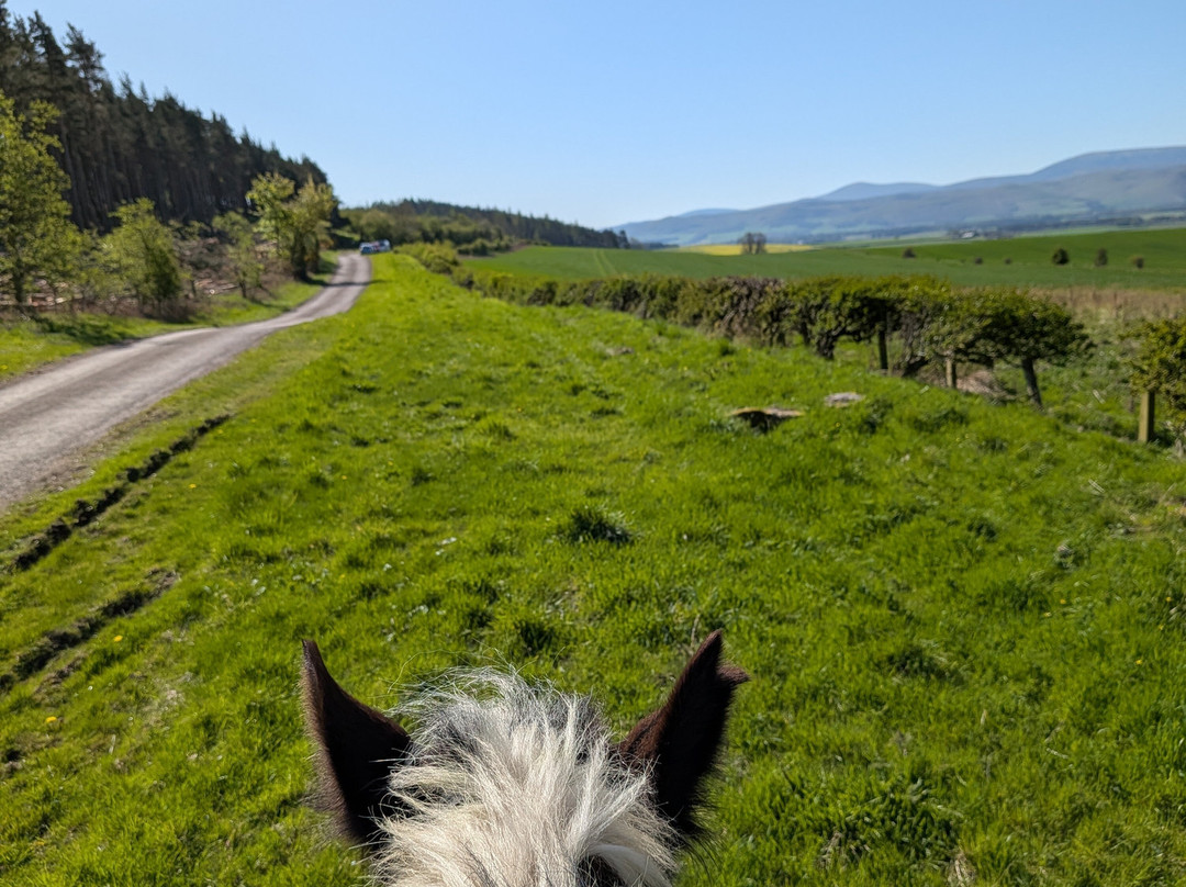 Kimmerston Riding Centre-Wooler必去景点