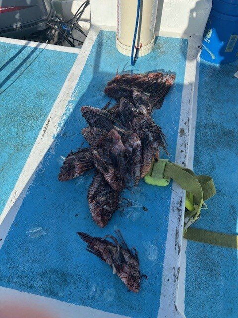 Scubafun-Bayahibe必去景点