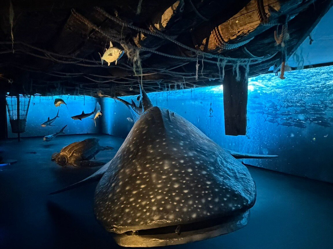 The Kon-Tiki Museum-奥斯陆必去景点