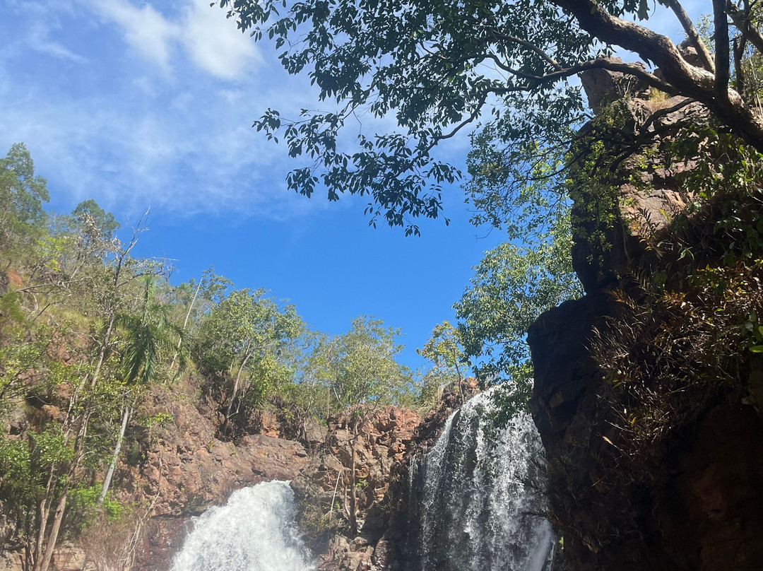 Florence Falls-Litchfield National Park必去景点