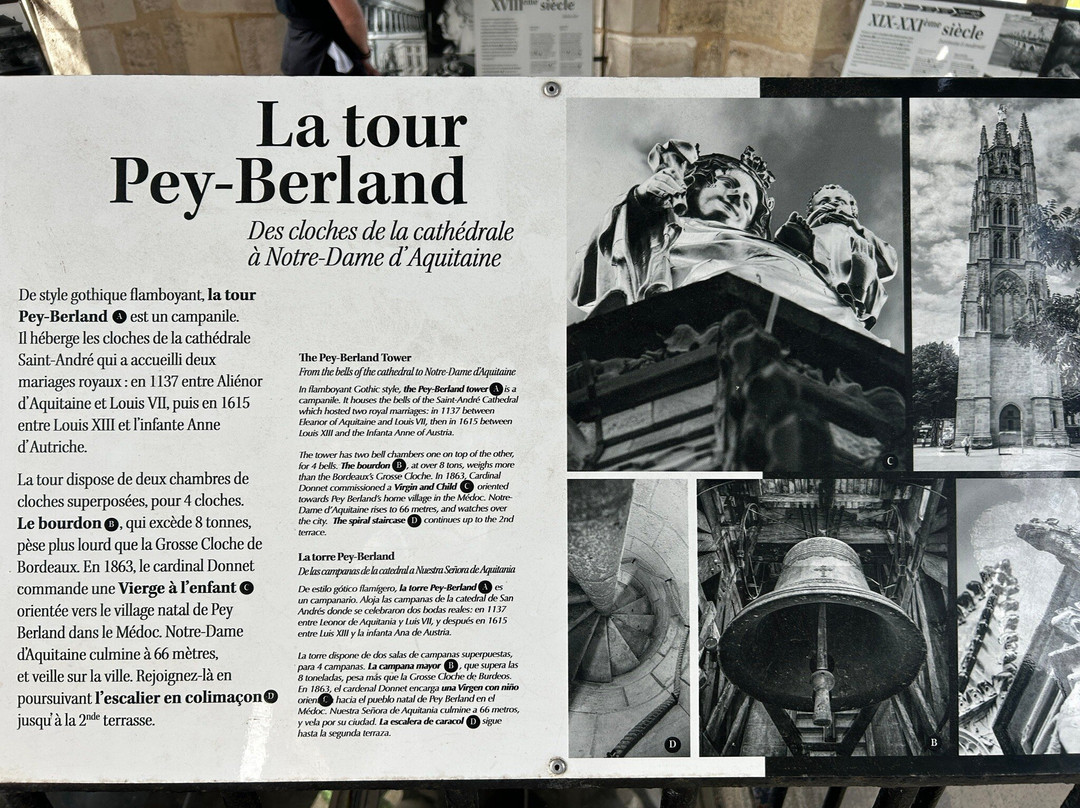 Tour Pey-Berland-波尔多必去景点