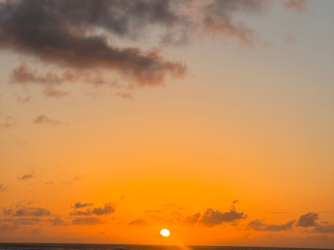 Moaina Retreat Hawaii-Pupukea必去景点