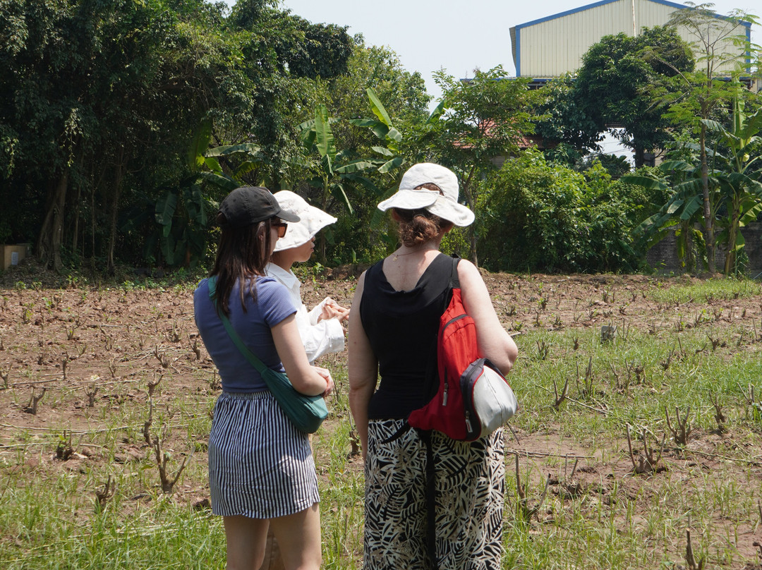 Silk Farm Bến Giá-宁平必去景点