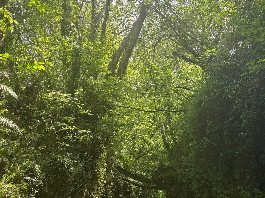 Symondsbury Estate-Symondsbury必去景点