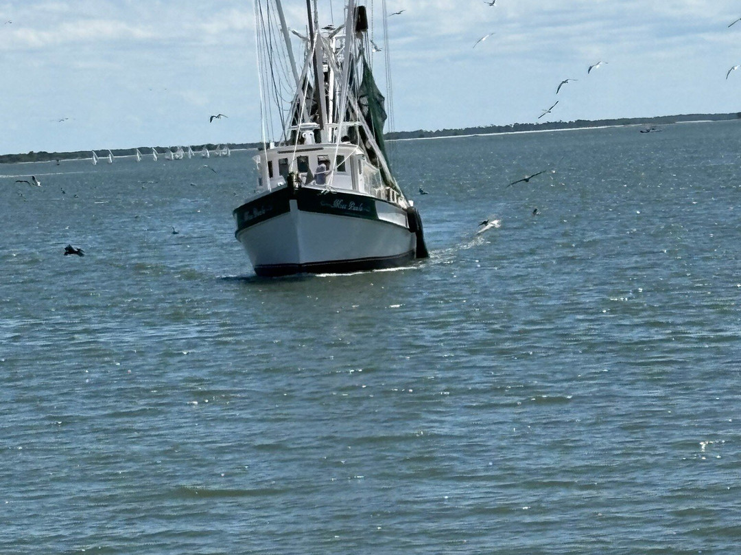 Shem Creek-芒特普莱森特必去景点