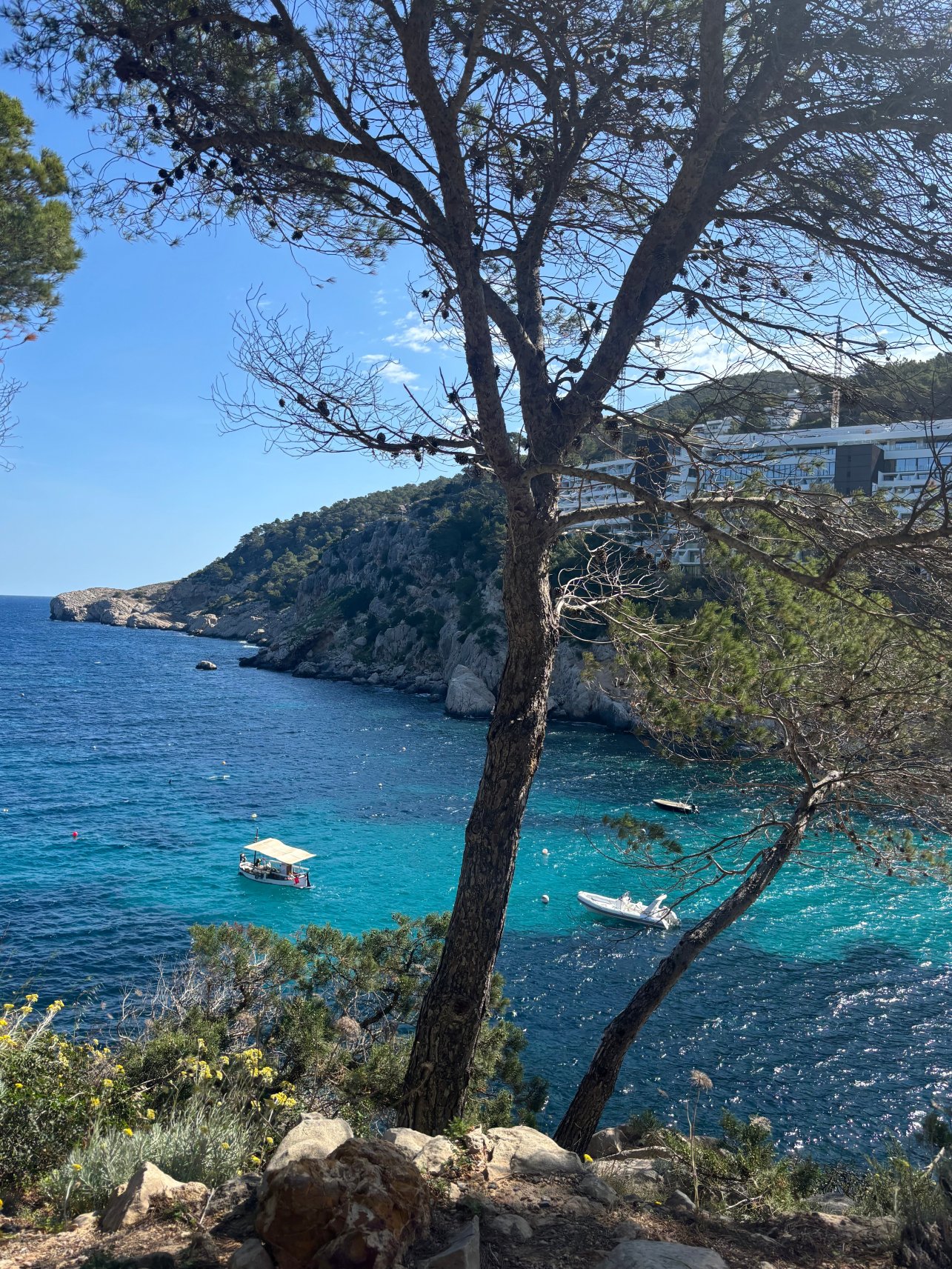 巴兰萨特度假村-旅行者