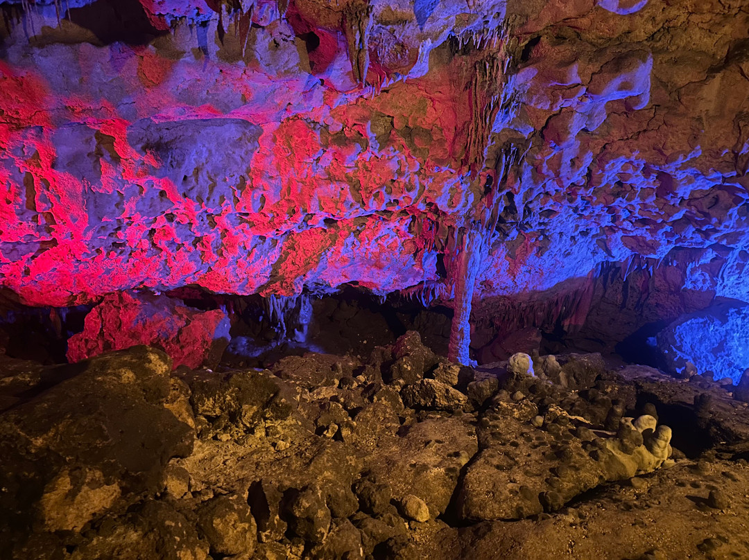 Florida Caverns State Park-Marianna必去景点